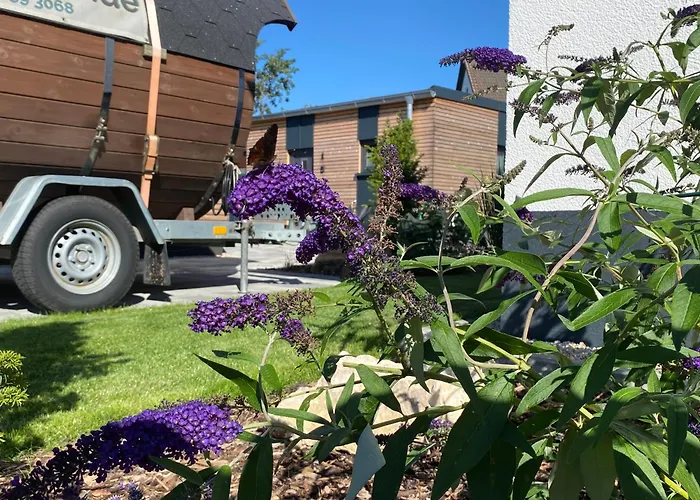 Fichtelcube De 펜션 Schonwald (Bavaria)